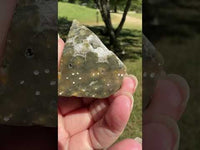 Ocean Jasper Free-form #14