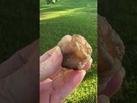 Panda Agate aka Truffle Chalcedony #1