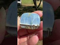 Owyhee Blue Opal Cabochon #6