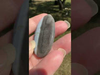 Owyhee Blue Opal Cabochon #1