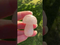 Fluorite Mushroom Carving #17