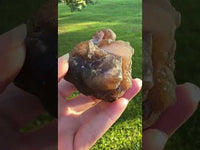 Panda Agate aka Truffle Chalcedony #11
