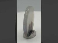 Designer Dendritic Agate Cabochon #7