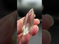 Beautiful Seahorse Garden Quartz Inner Scene Carving #9