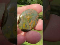Rainforest Jasper (Rhyolite) Cabochon #3