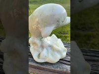 Lantian Jade Carved Dolphin #2