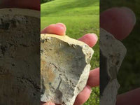 Pyrite Crystals, Malvern, Arkansas