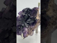 Dark Purple Fluorite Specimen – Melchor Muzquiz, Coahuila, Mexico