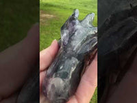 Fluorite Dragon Head Carving #17