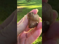 Panda Agate aka Truffle Chalcedony #8