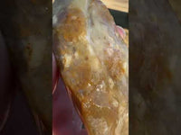 Savannah River Agate Specimen 1i