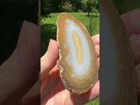Agate Slice #18