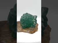 Fluorite Dragon Head Carving #2