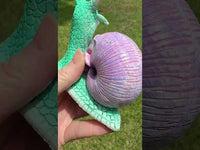 Purple & Teal Snail with Skull
