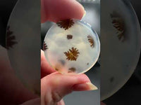 Scenic Dendritic Agate Cabochon #10