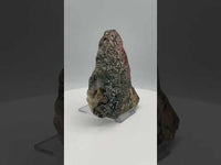 8th Vein Ocean Jasper Slab #21