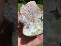 8th Vein Ocean Jasper Slab #127