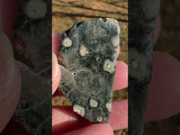 6th Vein Ocean Jasper Polished Freeform #55