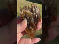 Natural Amber Calcite Raw Specimen UV Reactive #16