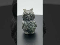 Carved Labradorite Owl