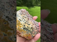 8th Vein Ocean Jasper Slab #40