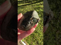 Raw Amber Specimen #4