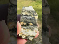 8th Vein Ocean Jasper Polished Free Form #18