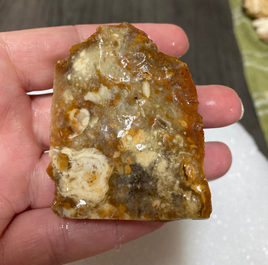 Savannah River Agate Specimen #9