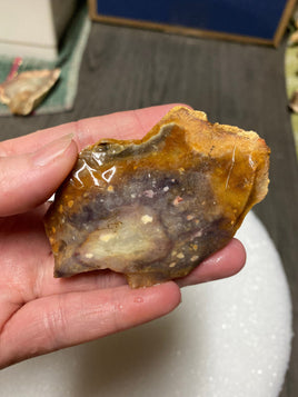 Savannah River Agate Specimen #2